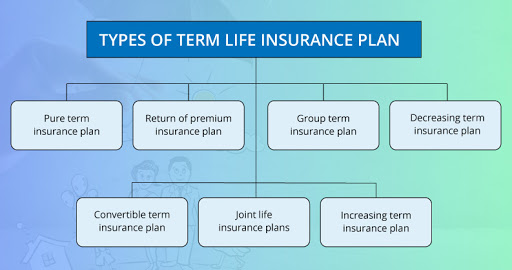 what-is-term-life-insurance-why-it-is-important-for-all-upvey