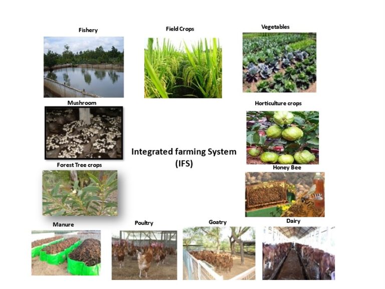 Integrated farming system for a Sustainable Agriculture – UpVey